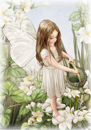 Forest Fairy Evie Cream A4