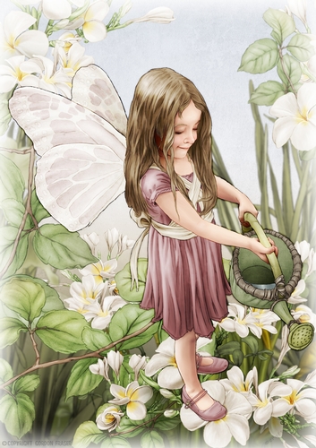 Forest Fairy Evie Dark Pink A4