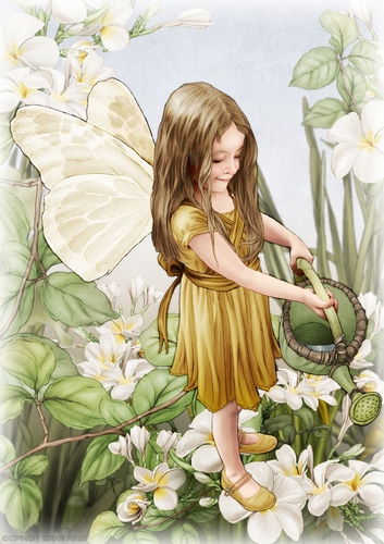 Forest Fairy Evie Gold A4
