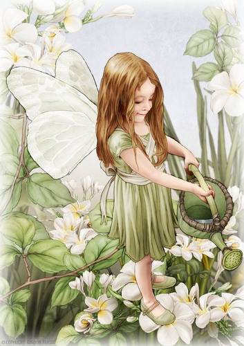 Forest Fairy Evie Green A4