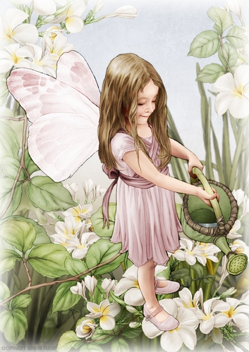 Forest Fairy Evie Light Pink A4
