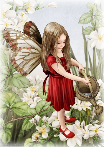 Forest Fairy Evie Red A4