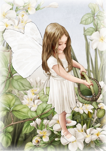 Forest Fairy Evie White A4