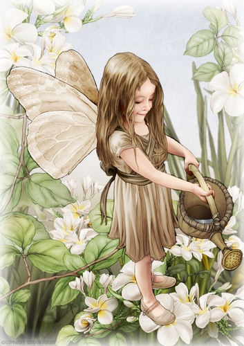 Forest Fairy Evie Brown A4