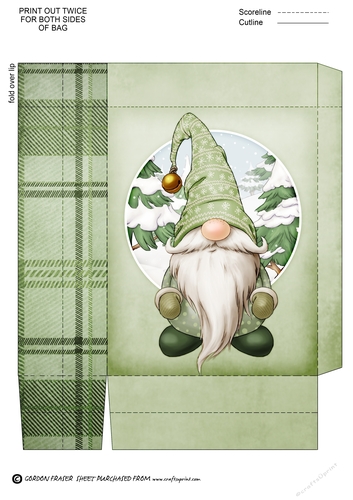 Alfred the Christmas Gnome Green Mini Gift Bag