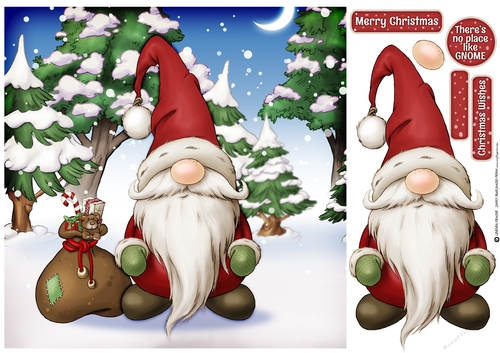 Alfred the Christmas Gnome 8x8 Santa Quick Card