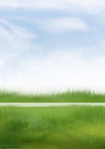 Sports Pitch Scene