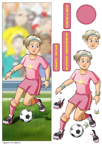 Womens Football Dudess Pink Strip Large Vertical DL