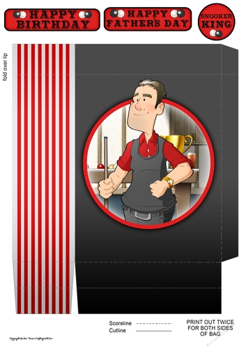 Snooker Dude 2 Mini Gift Bag