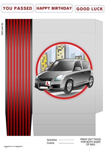 Just Passed (Silver) Mini Gift Bag