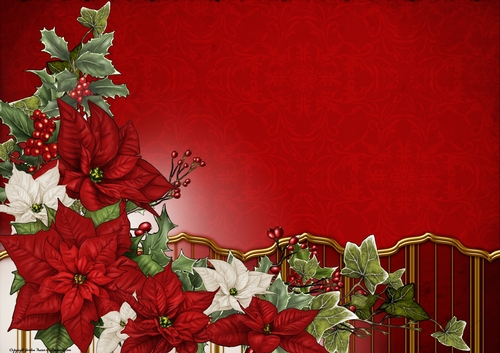 Art Deco Lola Poinsettia Paper Red