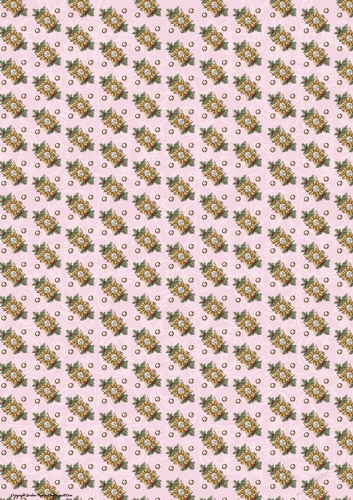 Lola Diamond Holly Paper Pink