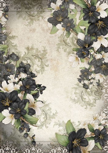 Butterfly Blossom Paper Black
