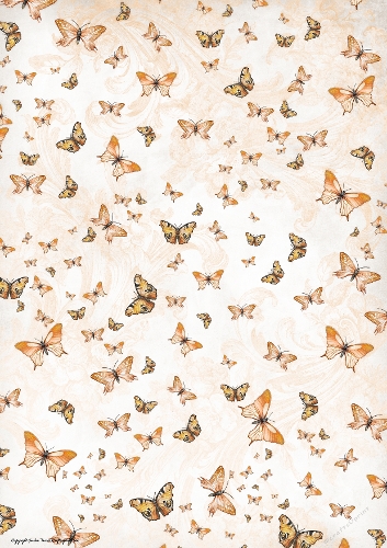 Butterfly Blossom Paper 2 Peach