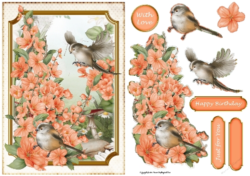 Long Tailed Bird with Blossom Peach