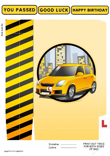 Just Passed (Yellow) Mini Gift Bag