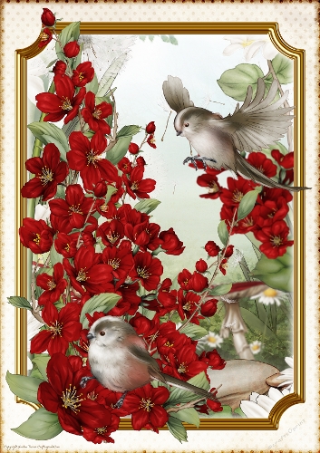 Long Tailed Bird with Blossom Red A4