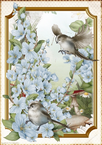 Long Tailed Bird with Blossom Blue A4