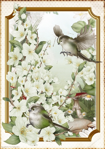 Long Tailed Bird with Blossom Green A4