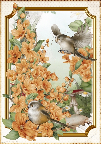 Long Tailed Bird with Blossom Gold A4