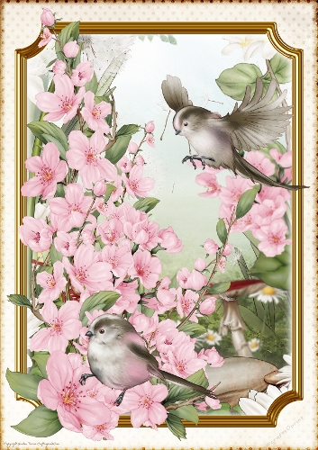 Long Tailed Bird with Blossom Pink A4
