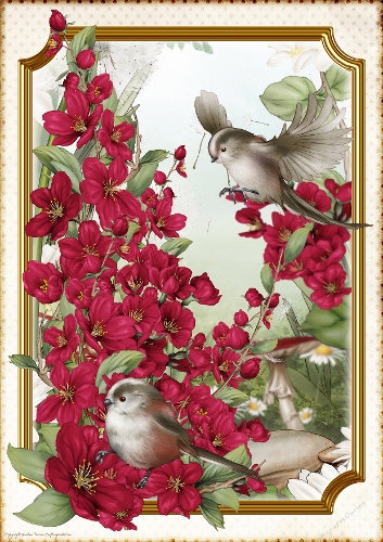 Long Tailed Bird with Blossom Dark Pink A4