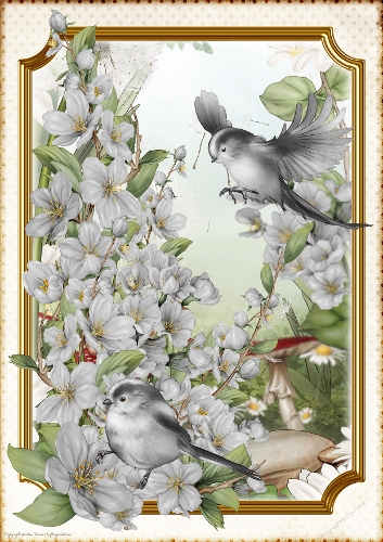 Long Tailed Bird with Blossom Silver A4