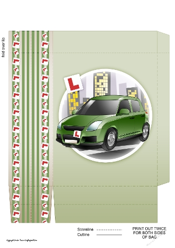 Just Passed (Green) Mini Gift Bag