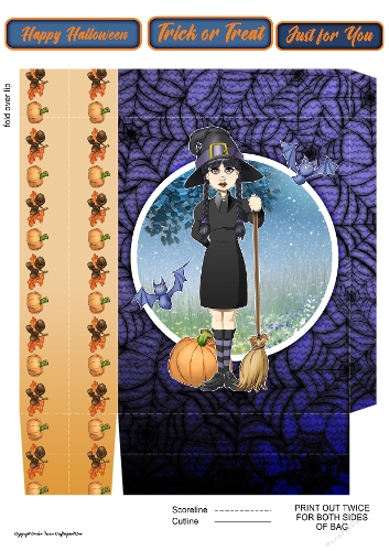Halloween Witch Mini Gift Bag