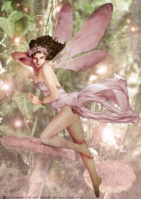 Forest Fairy Acantha Pink A4