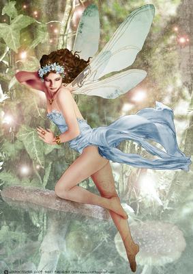Forest Fairy Acantha Blue A4