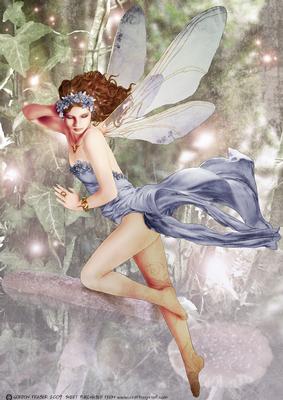 Forest Fairy Acantha Lilac A4