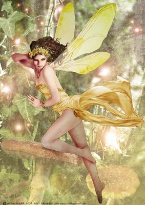 Forest Fairy Acantha Yellow A4