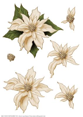 Poinsettia Decoupage Sheet Cream