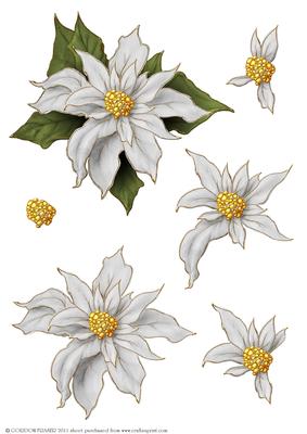 Poinsettia Decoupage Sheet White