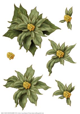 Poinsettia Decoupage Sheet Green
