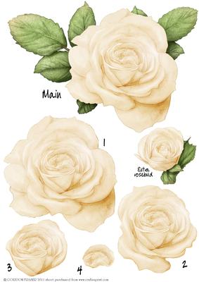 Cream Rose Decoupage Sheet