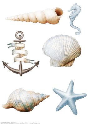 Seaside Embellishments (light Blue)