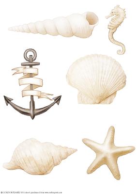 Seaside Embellishments (cream)