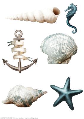 Seaside Embellishments (blue)