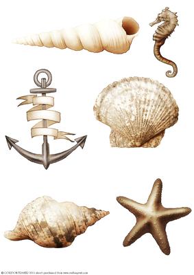 Seaside Embellishments (brown)