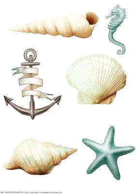 Seaside Embellishments (aqua)