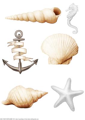 Seaside Embellishments (white)