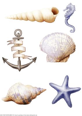 Seaside Embellishments (lilac)
