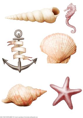 Seaside Embellishments (pink)