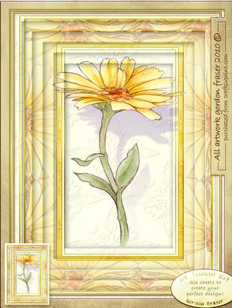 A4 Golden Flower Tunnel.