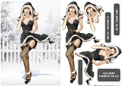 1950's Eva Grace Winter Wonderland (black)