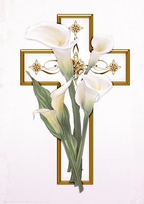 White Lily Cross A4