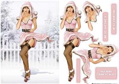 1950's Pin Up Eva Grace Winter Wonderland (pink)