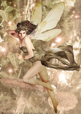 Forest Fairy Acantha Brown A4